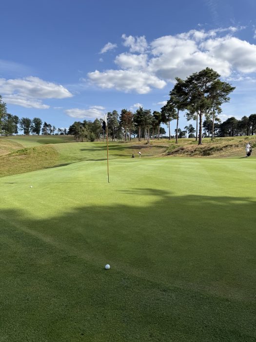 Golf Physiotherapy at Badgemore Park: The Physical Limitations Costing You Distance